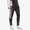 adidas Pantaloni de trening LFC TR PNT 