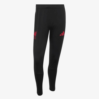 adidas Pantaloni de trening LFC TR PNT 