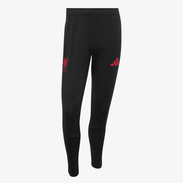 adidas Pantaloni de trening LFC TR PNT 