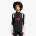 adidas Hanorac LFC TR TOPY 