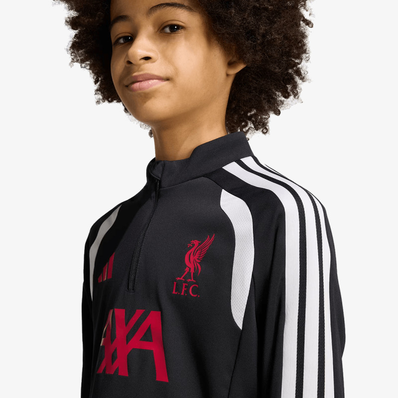 adidas Hanorac LFC TR TOPY 