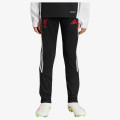 adidas Pantaloni de trening LFC TR PNTY 