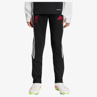 adidas Pantaloni de trening LFC TR PNTY 