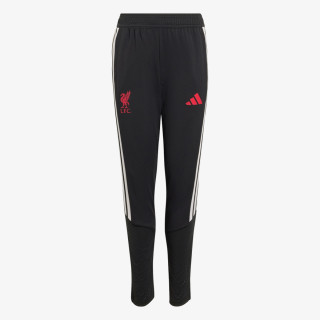 adidas Pantaloni de trening LFC TR PNTY 