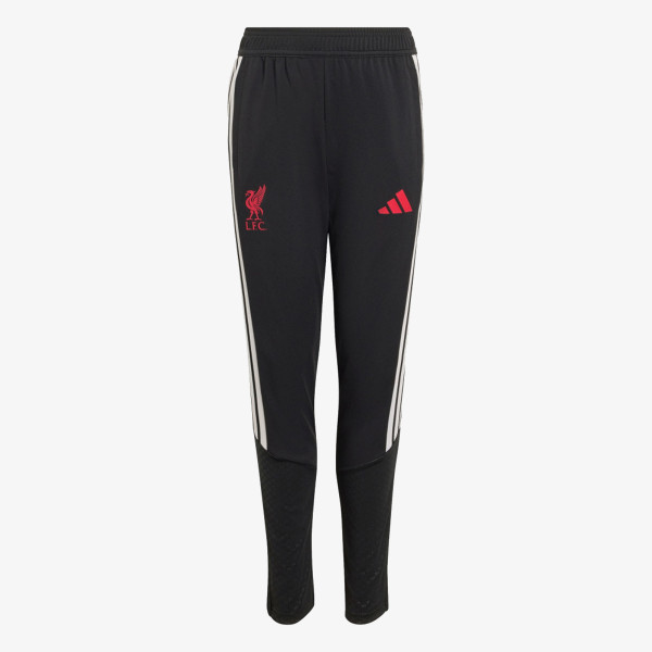 adidas Pantaloni de trening LFC TR PNTY 