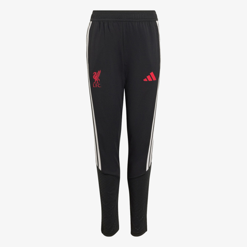 adidas Pantaloni de trening LFC TR PNTY 