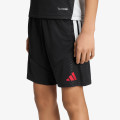 adidas Pantaloni scurti LFC TR SHOY 