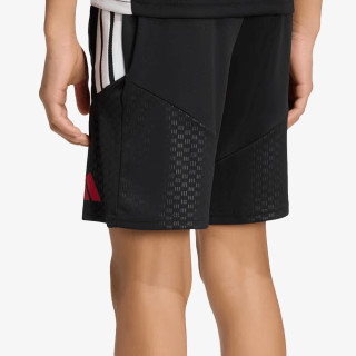 adidas Pantaloni scurti LFC TR SHOY 