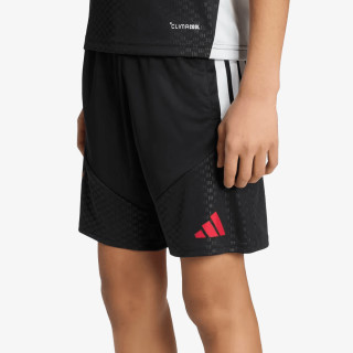 adidas Pantaloni scurti LFC TR SHOY 