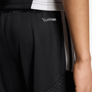 adidas Pantaloni scurti LFC TR SHOY 