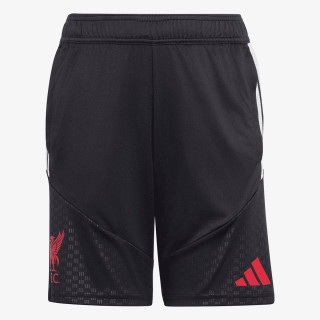 adidas Pantaloni scurti LFC TR SHOY 