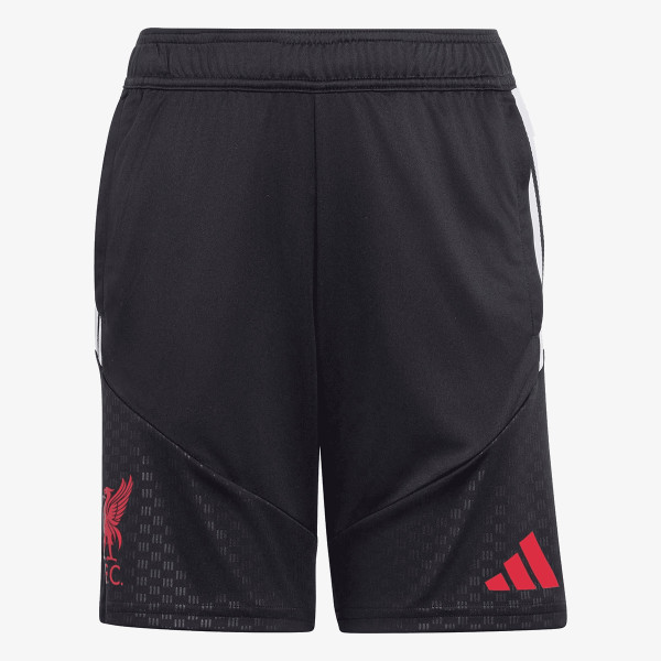adidas Pantaloni scurti LFC TR SHOY 