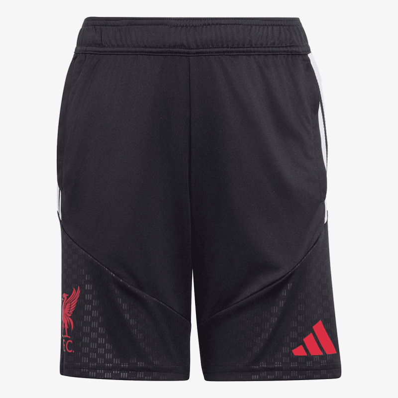 adidas Pantaloni scurti LFC TR SHOY 
