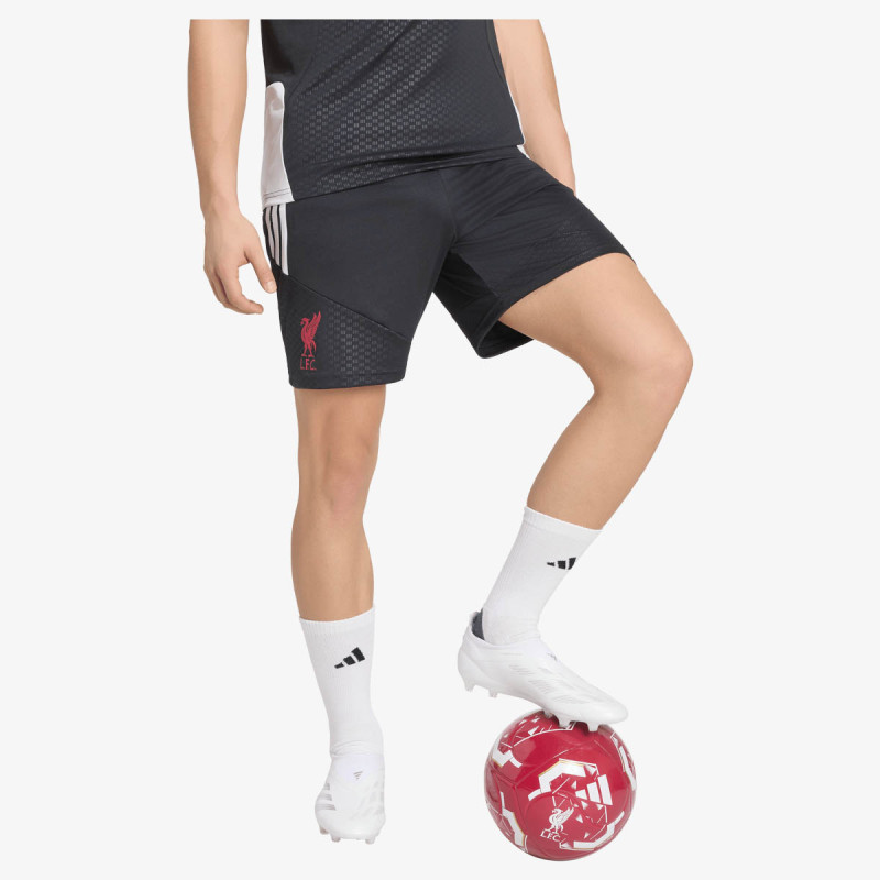 adidas Pantaloni scurti LFC TR SHO 