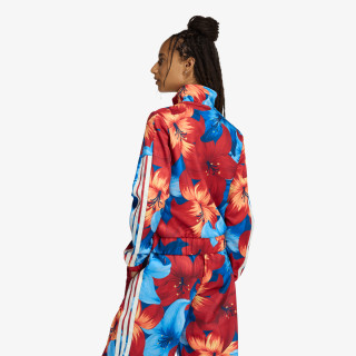 adidas Hanorac FARM Rio House of Tiro 