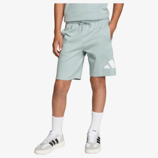 adidas Pantaloni scurti J BL KN SH 210 
