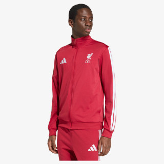 adidas Hanorac LFC DNA TT 