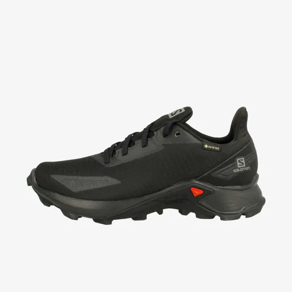 A good friend Glossary cough SALOMON Pantofi Sport ALPHACROSS BLAST GTX W | SportVision Romania