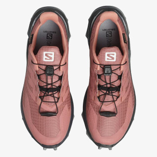 Salomon Pantofi Sport SUPERCROSS BLAST GTX W 