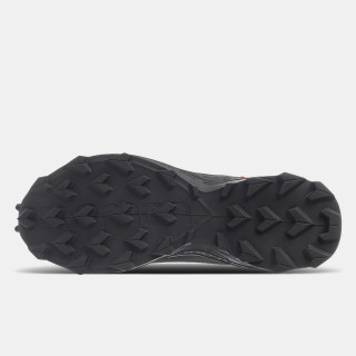 SALOMON Pantofi sport ALPHACROSS 3 GTX