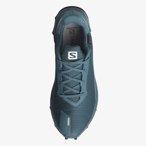 Salomon Pantofi Sport ALPHACROSS 3 GTX 