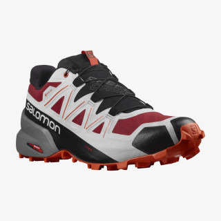 Salomon Pantofi Sport SPEEDCROSS 5 GTX 