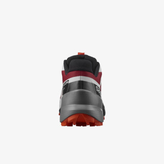 Salomon Pantofi Sport SPEEDCROSS 5 GTX 