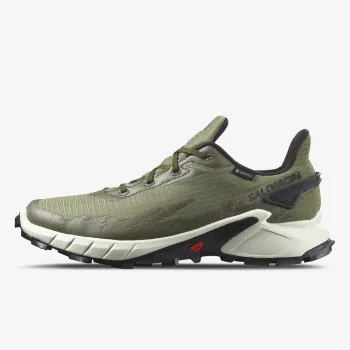 SALOMON Pantofi Sport ALPHACROSS 4 GTX 