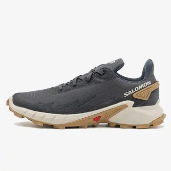 SALOMON Pantofi Sport ALPHACROSS 4 