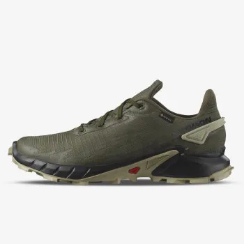 SALOMON Pantofi Sport ALPHACROSS 4 GTX 