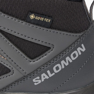 Salomon Pantofi X BRAZE MID GTX W 