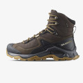 Salomon Pantofi Quest Element GTX 