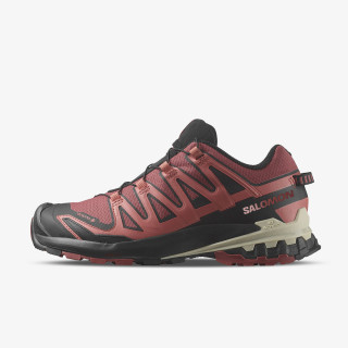 Salomon Pantofi Sport XA Pro 3D V9 GTX 