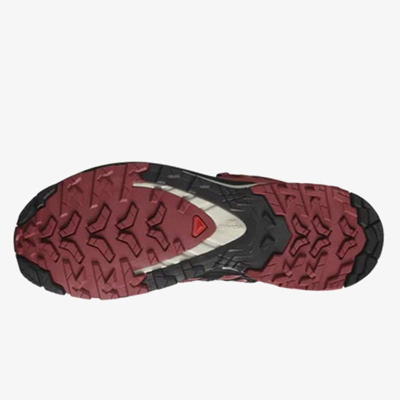 Salomon Pantofi Sport XA Pro 3D V9 GTX 