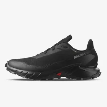 SALOMON Pantofi Sport ALPHACROSS 5 GTX 
