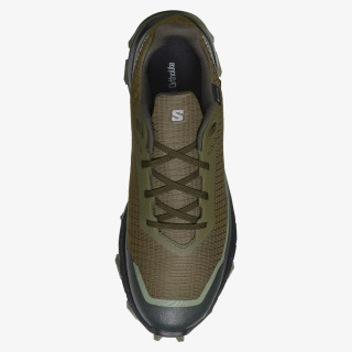 SALOMON Pantofi Sport ALPHACROSS 5 GTX 