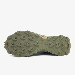SALOMON Pantofi Sport ALPHACROSS 5 GTX 