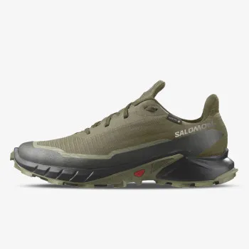 SALOMON Pantofi Sport ALPHACROSS 5 GTX 
