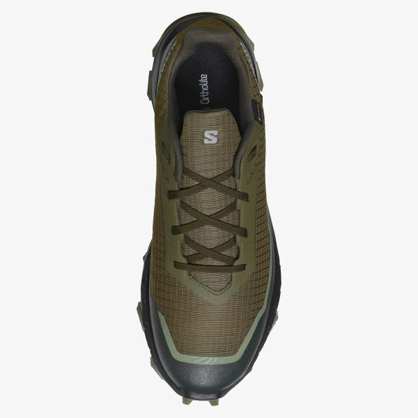 SALOMON Pantofi Sport ALPHACROSS 5 GTX 