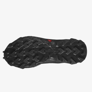 SALOMON Pantofi Sport ALPHACROSS 5 GTX 