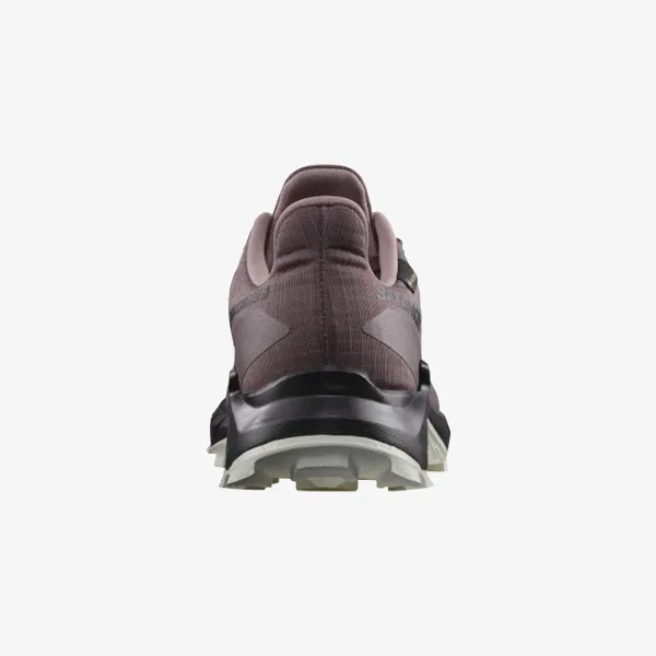 SALOMON Pantofi Sport ALPHACROSS 5 GTX 
