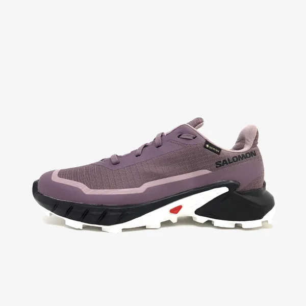 SALOMON Pantofi Sport ALPHACROSS 5 GTX 