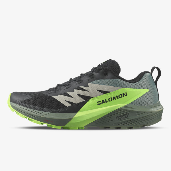 Salomon Pantofi Sport Sense Ride 5 