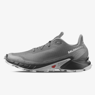 Salomon Pantofi Sport Alphacross 5 