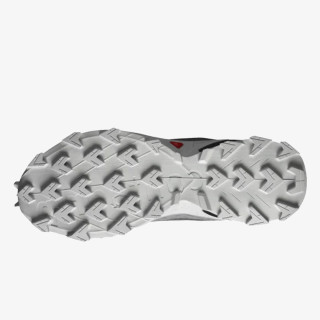 Salomon Pantofi Sport Alphacross 5 