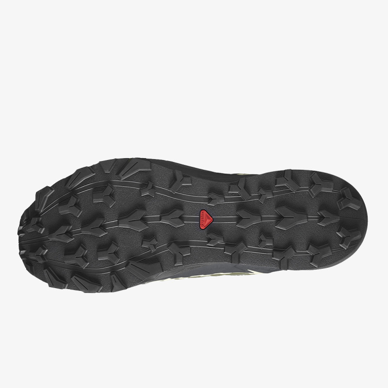 Salomon Pantofi Sport Thundercross GTX 