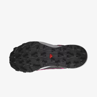 Salomon Pantofi Sport Thundercross GTX 