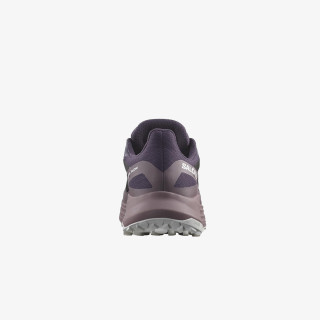 Salomon Pantofi Sport ULTRA FLOW GTX W 