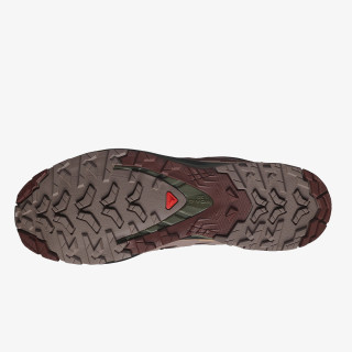 Salomon Pantofi Sport XA Pro 3D V9 GTX 