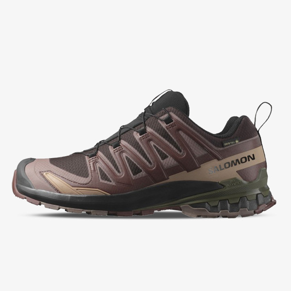 Salomon Pantofi Sport XA Pro 3D V9 GTX 